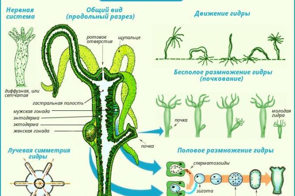 BlackSprut shop BlackSprut ssylka onion com