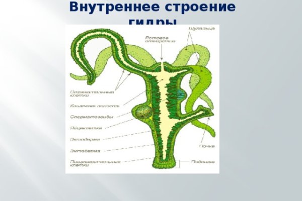 Что будет за перевод денег на мегу