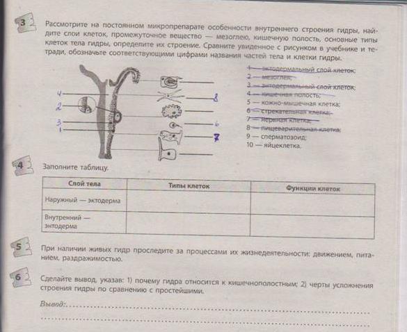 Как зайти на сайт блэкспрут онион